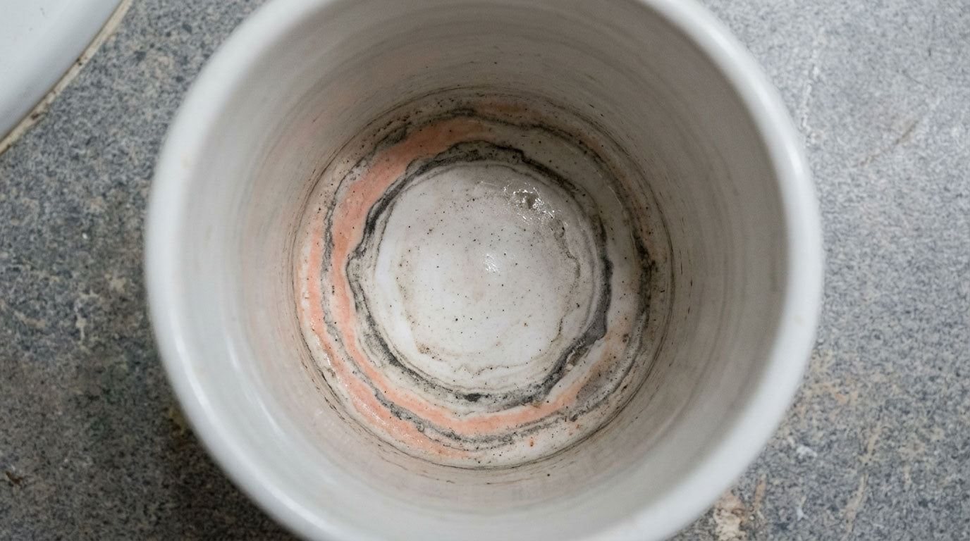 The Toothbrush Holder That Doesn't Get Moldy
