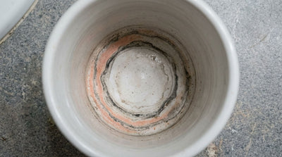 The Toothbrush Holder That Doesn't Get Moldy