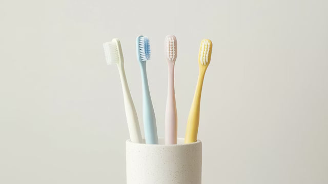 Sharing a Bathroom? How to Store Toothbrushes Without Spreading Germs